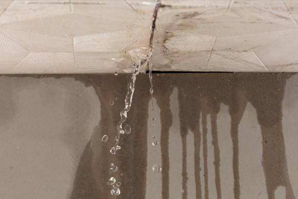 Professional Flood Damage Cleanup technician working in Clearwater, MN